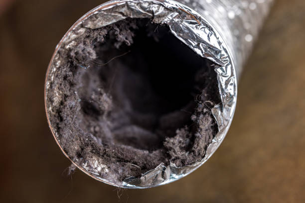 Best Best Air Duct Cleaning Company  in Belle Meade, TN